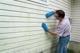 Best Custom Trim and Detailing for Siding  in Connerton, FL